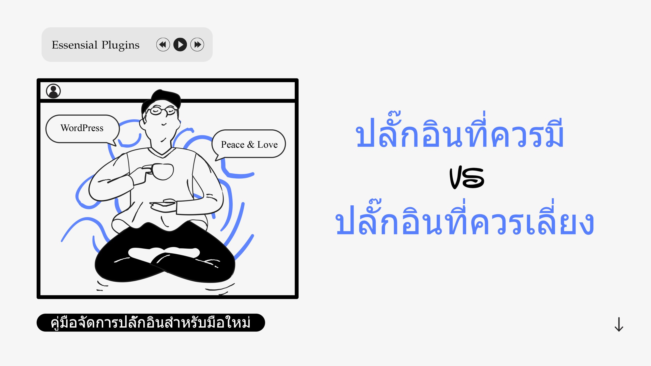 Read more about the article ปลั๊กอินที่จำเป็น vs. ปลั๊กอินที่ไม่จำเป็น: คู่มือจัดการปลั๊กอิน สำหรับมือใหม่